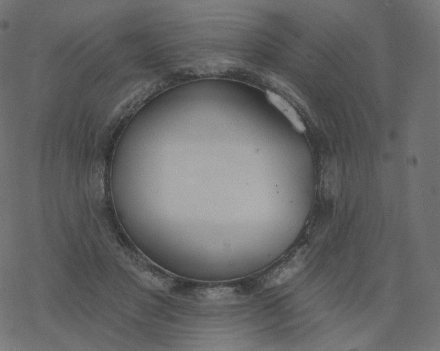 X0000077400501200611032030