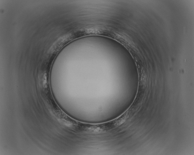 X0000077400502200611032030