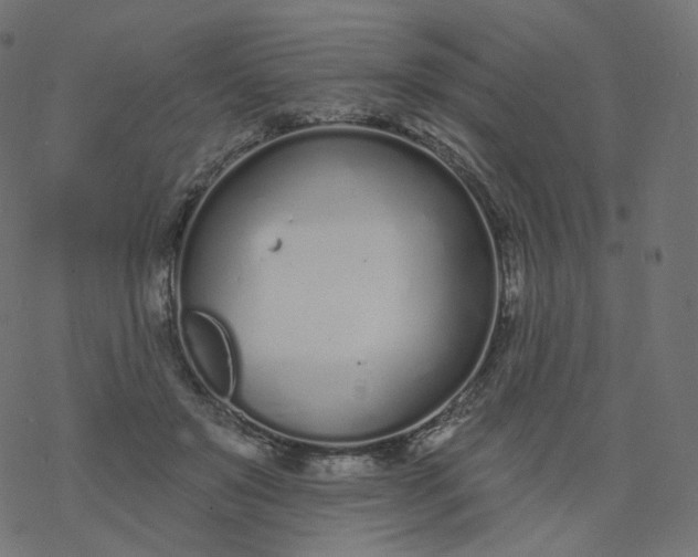 X0000077400503200611032030