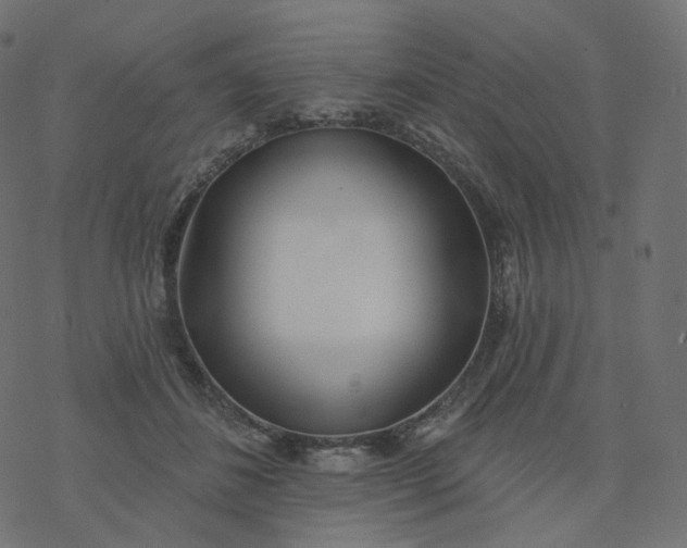 X0000077400508200611032030