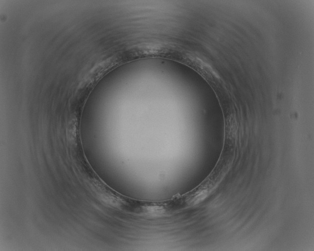 X0000077400509200611032030