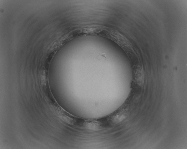 X0000077400510200611032030