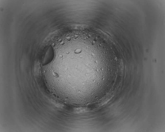 X0000077400511200611032030