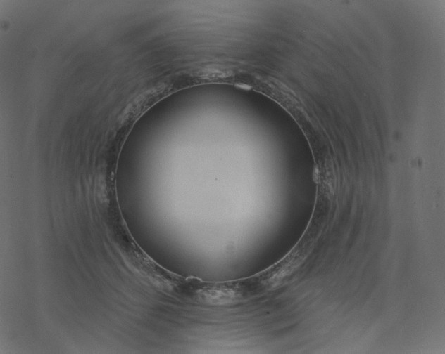 X0000077400512200611032030