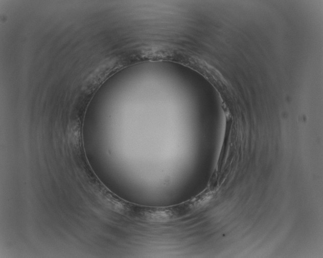 X0000077400513200611032030