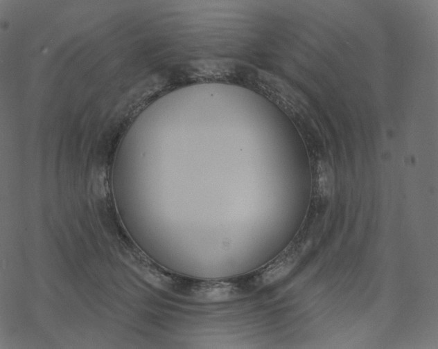 X0000077400514200611032030