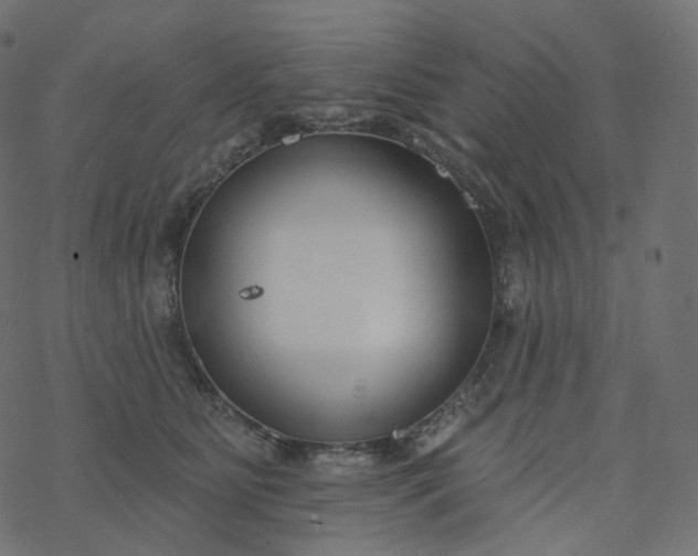 X0000077400515200611032030