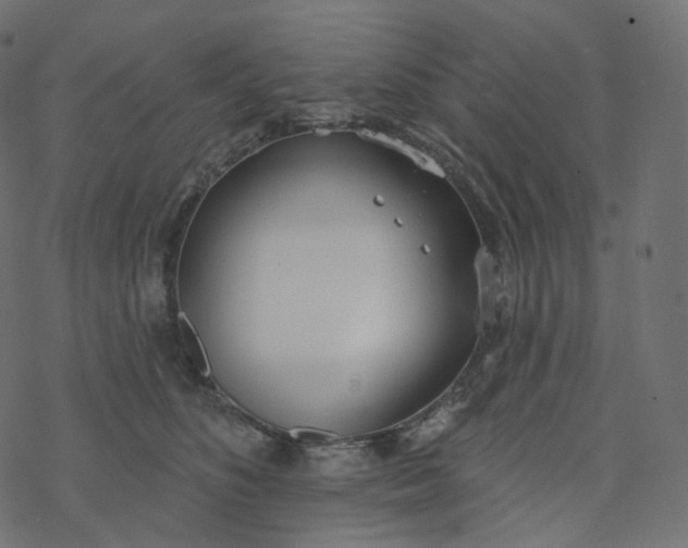 X0000077400516200611032030