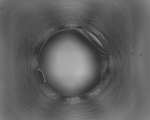 X0000077400517200611032030