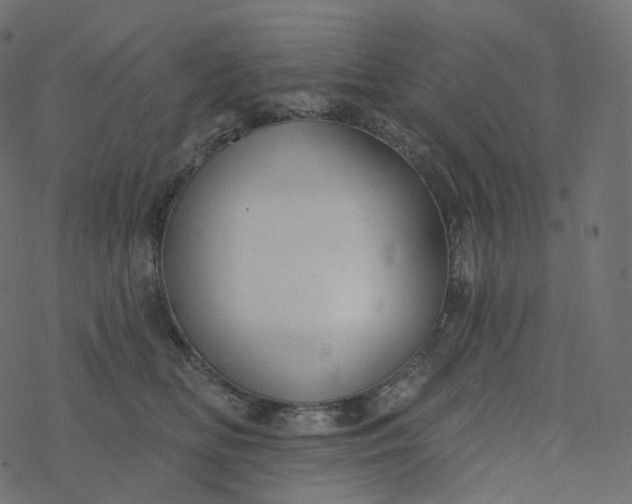 X0000077400518200611032030