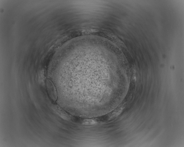 X0000077400519200611032030