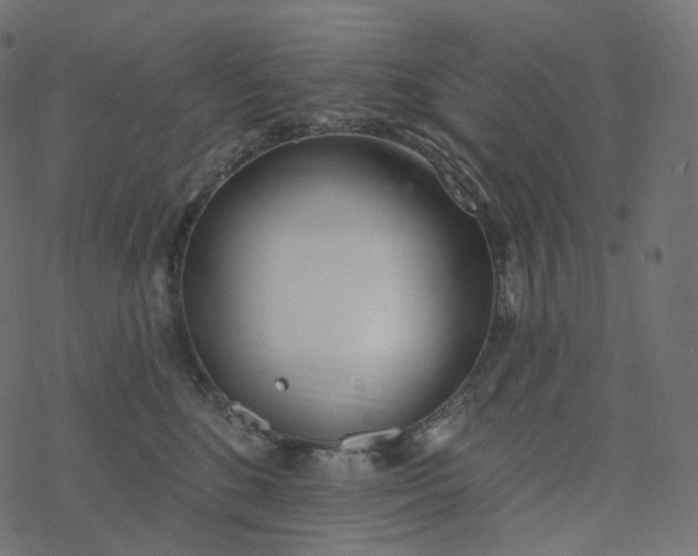 X0000077400520200611032030