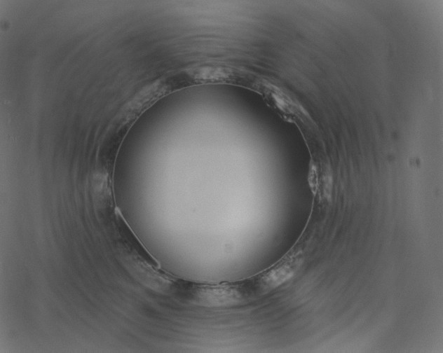 X0000077400521200611032030