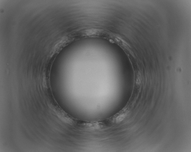 X0000077400524200611032030