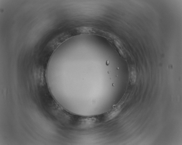 X0000077400525200611032029