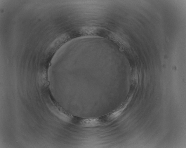 X0000077400526200611032029