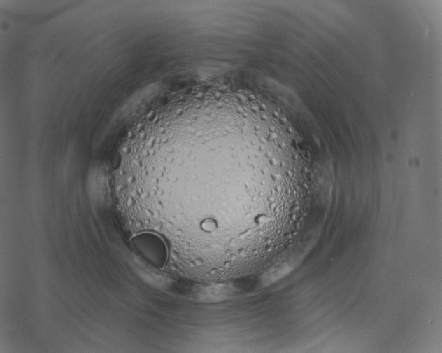 X0000077400527200611032029