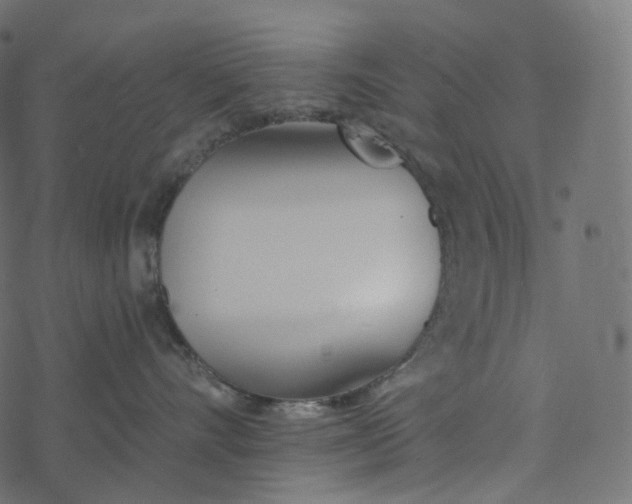 X0000077400528200611032029