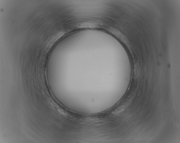 X0000077400529200611032029