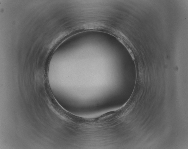 X0000077400530200611032029