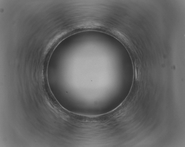 X0000077400531200611032029