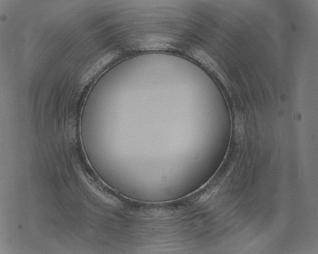 X0000077400533200611032029