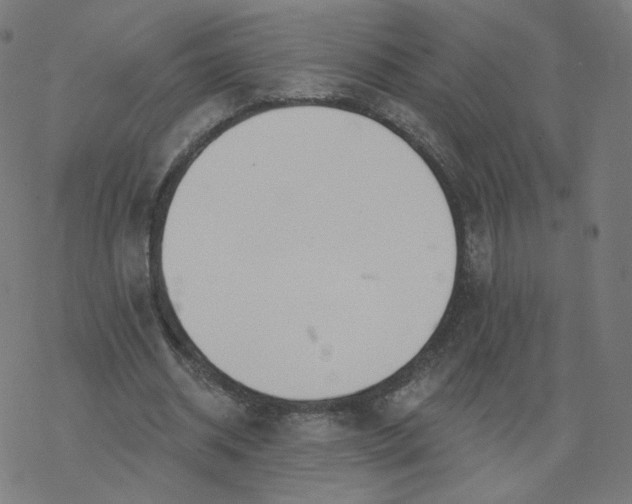 X0000077400534200611032029