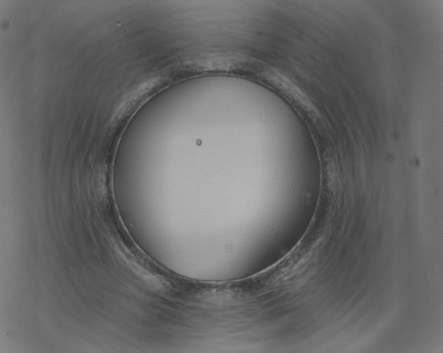 X0000077400537200611032029