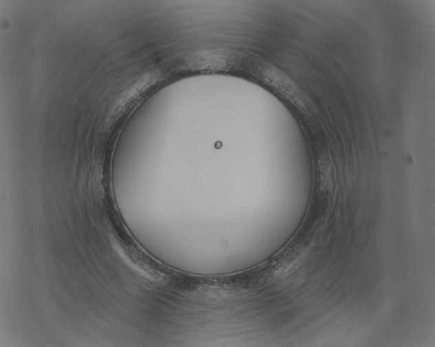 X0000077400538200611032029