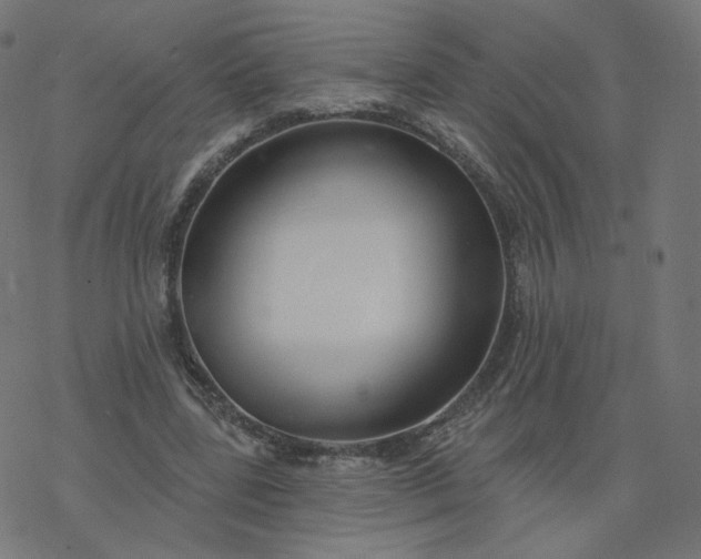 X0000077400539200611032029