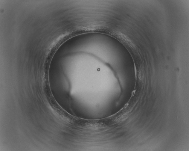 X0000077400540200611032029