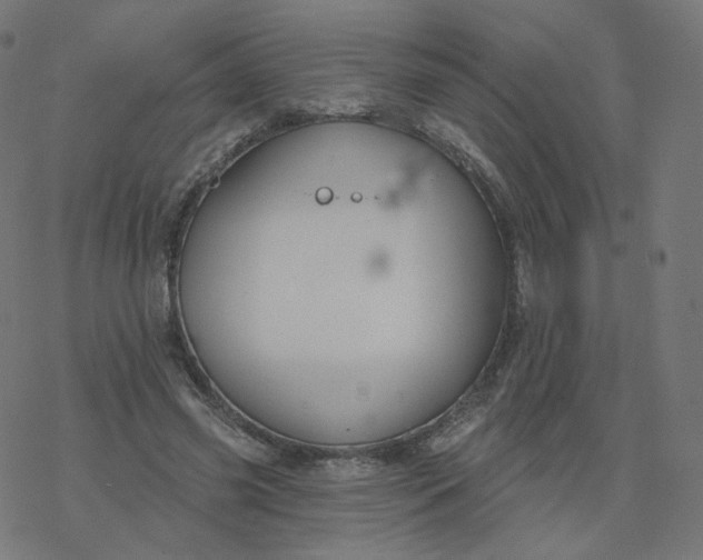 X0000077400541200611032029