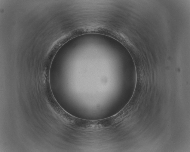 X0000077400543200611032029