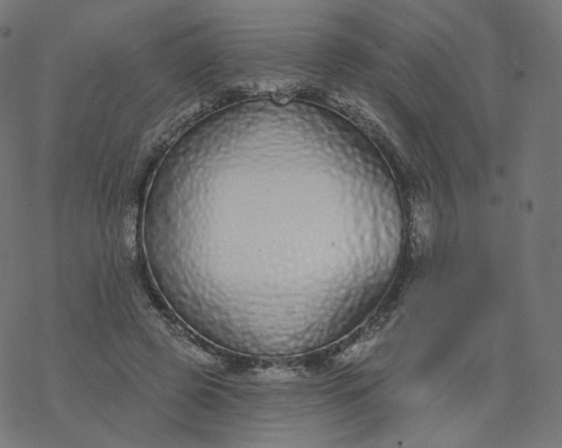 X0000077400545200611032029