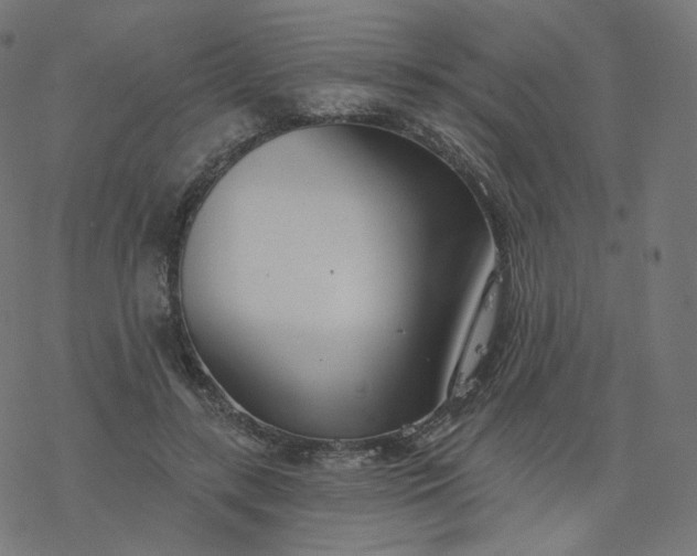 X0000077400547200611032029