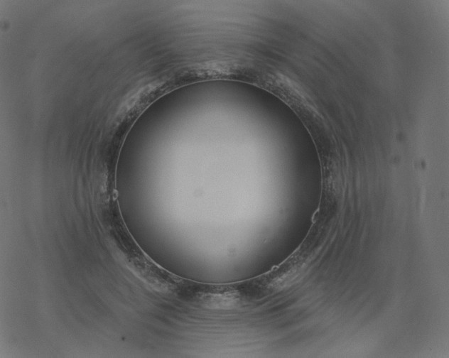 X0000077400548200611032029