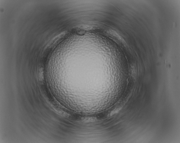 X0000077400549200611032029