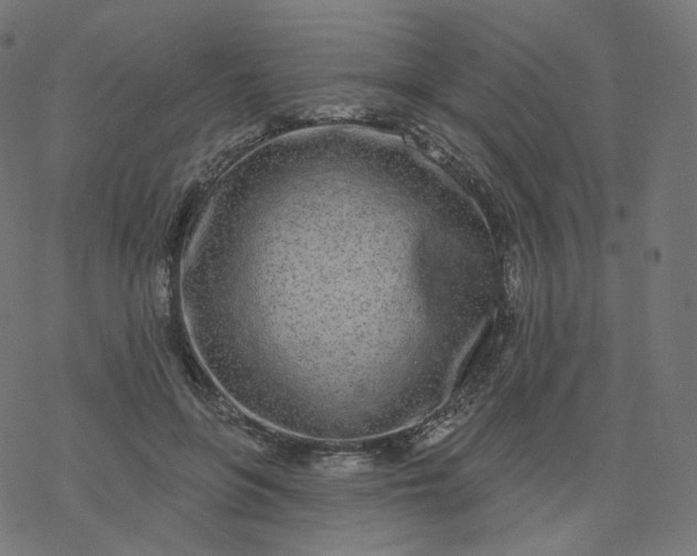 X0000077400551200611032029