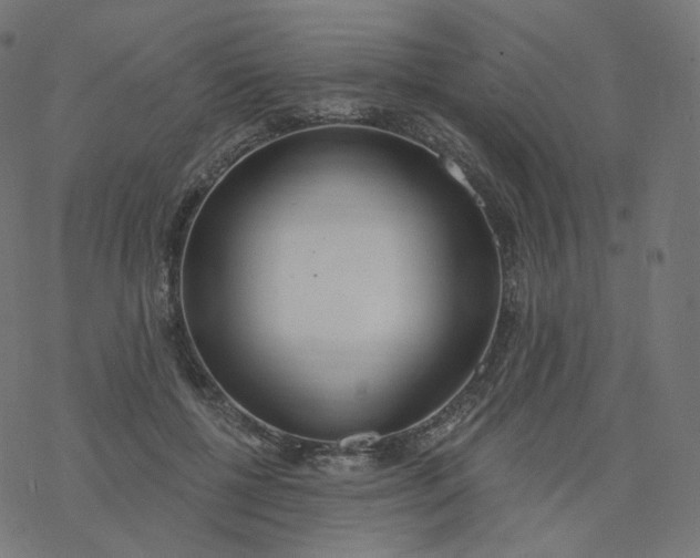 X0000077400552200611032029