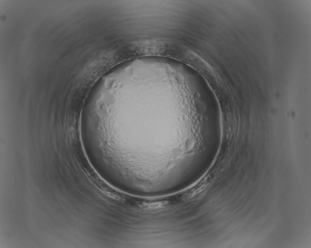 X0000077400553200611032029