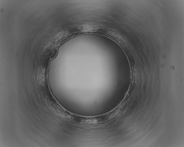 X0000077400554200611032029