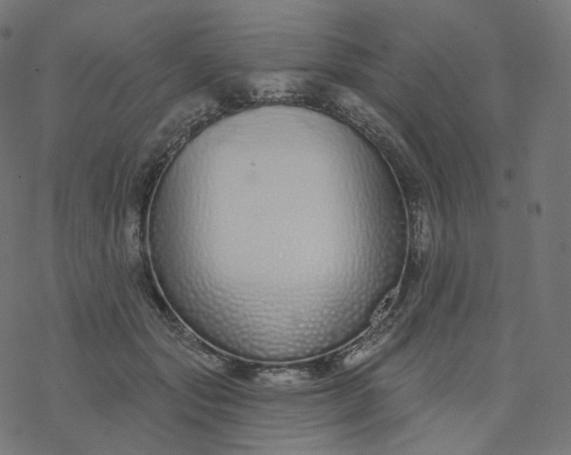 X0000077400557200611032029