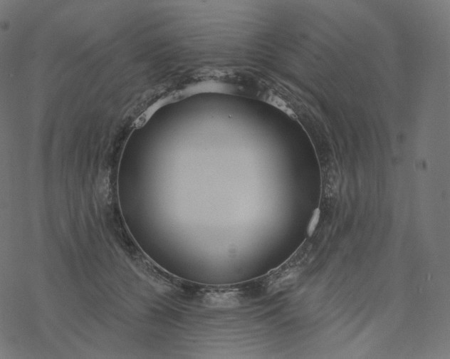 X0000077400560200611032029