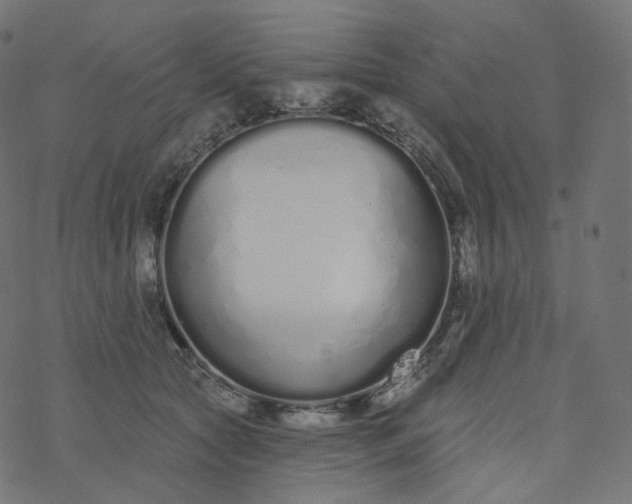 X0000077400561200611032029