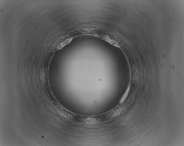 X0000077400562200611032029