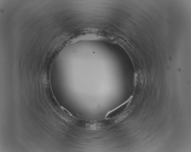 X0000077400564200611032029