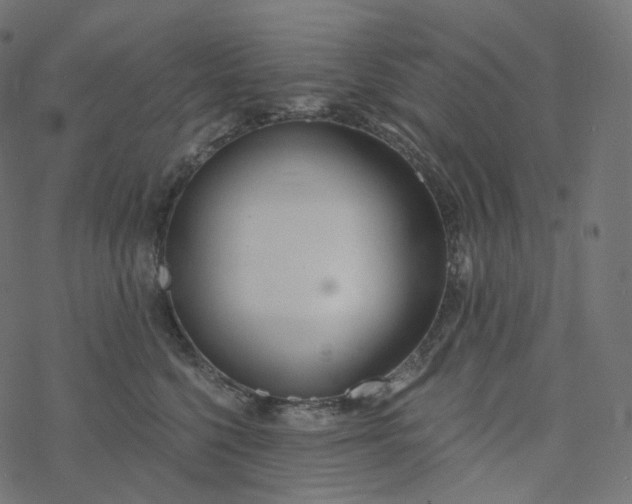 X0000077400568200611032029