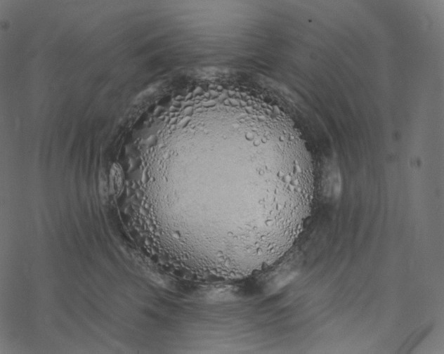 X0000077400569200611032029