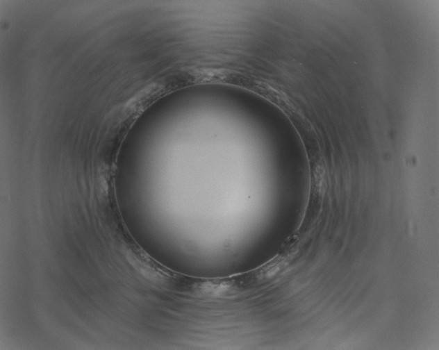 X0000077400570200611032029