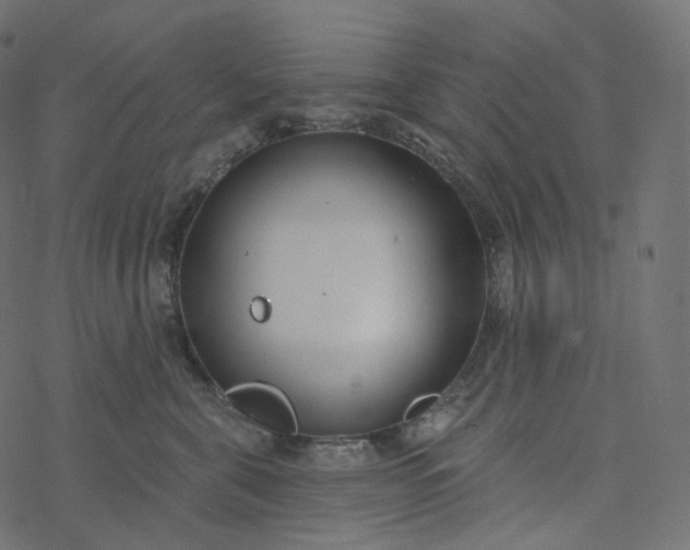 X0000077400571200611032029